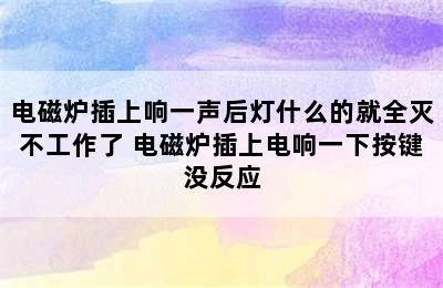 电磁炉插上响一声后灯什么的就全灭不工作了 电磁炉插上电响一下按键没反应